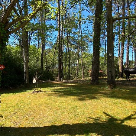 Le Petit Poulailler Au Beau Milieu Des Pins Villa Lacanau Eksteriør bilde