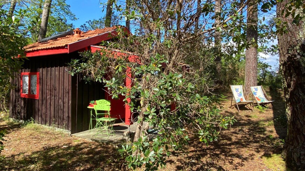 Le Petit Poulailler Au Beau Milieu Des Pins Villa Lacanau Eksteriør bilde