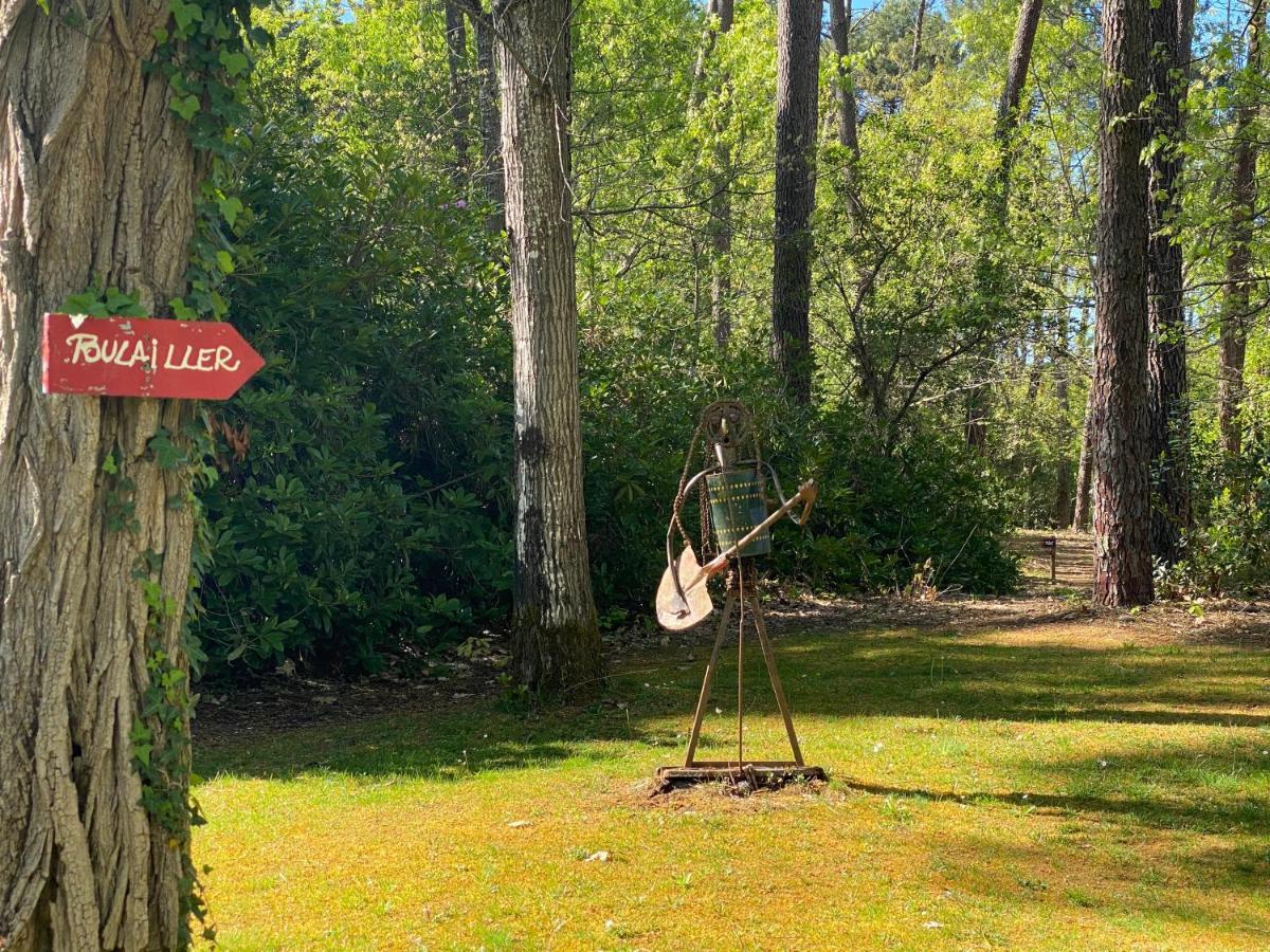 Le Petit Poulailler Au Beau Milieu Des Pins Villa Lacanau Eksteriør bilde