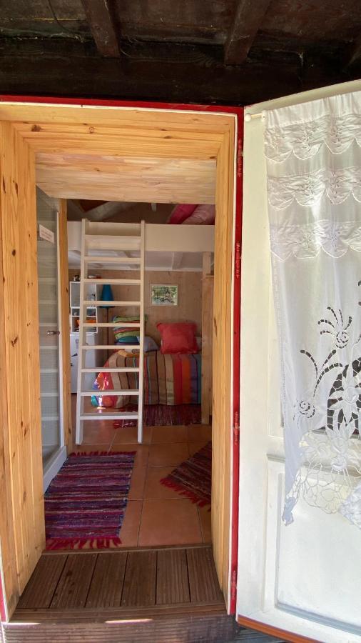 Le Petit Poulailler Au Beau Milieu Des Pins Villa Lacanau Eksteriør bilde