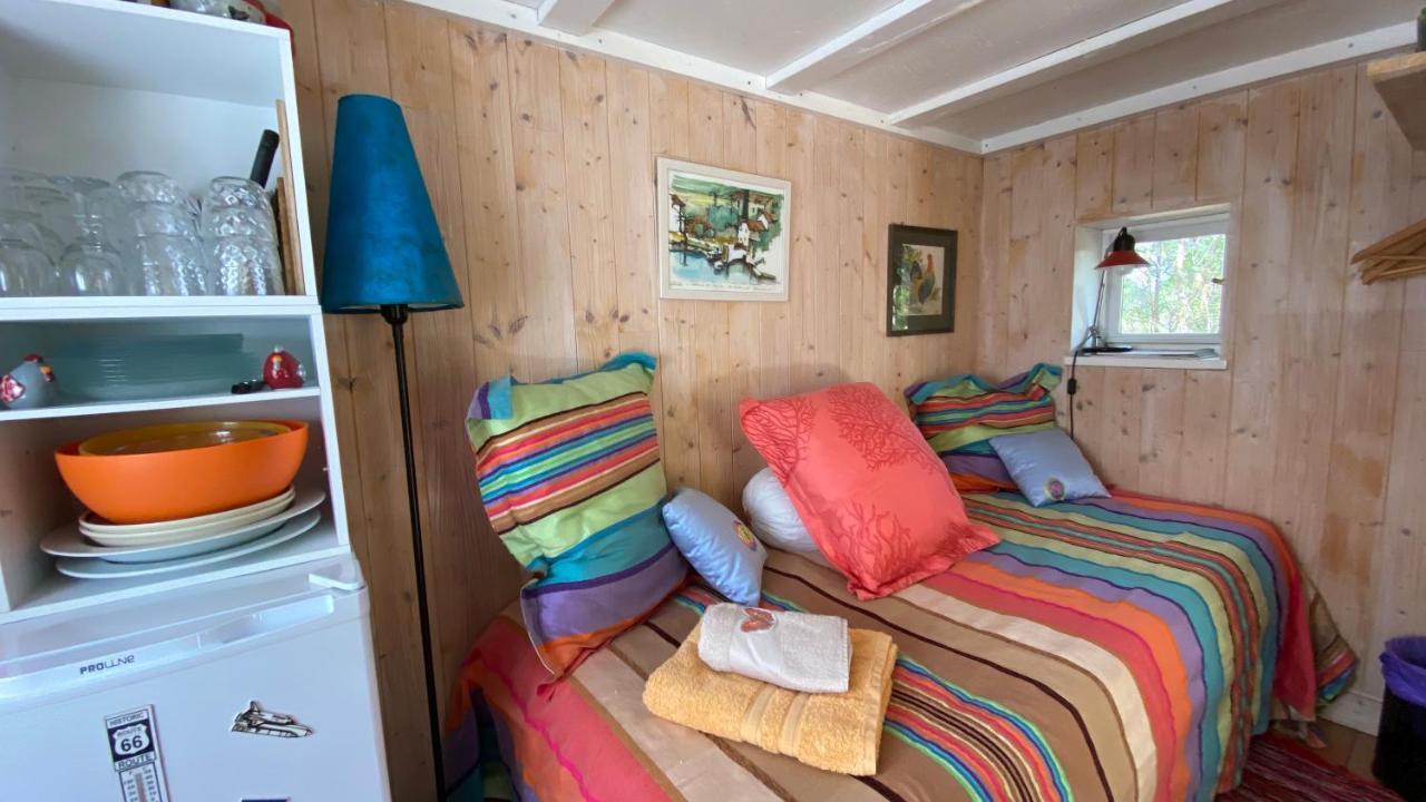Le Petit Poulailler Au Beau Milieu Des Pins Villa Lacanau Eksteriør bilde