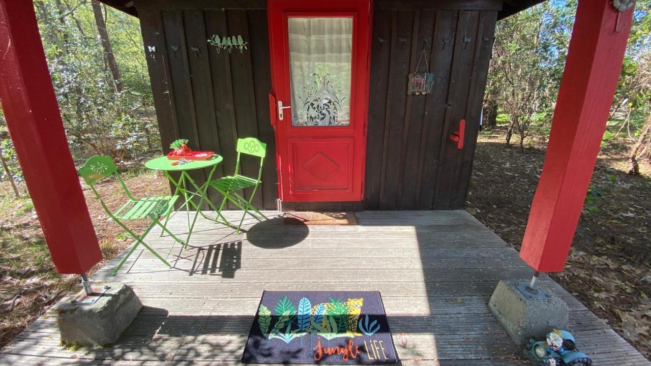Le Petit Poulailler Au Beau Milieu Des Pins Villa Lacanau Eksteriør bilde