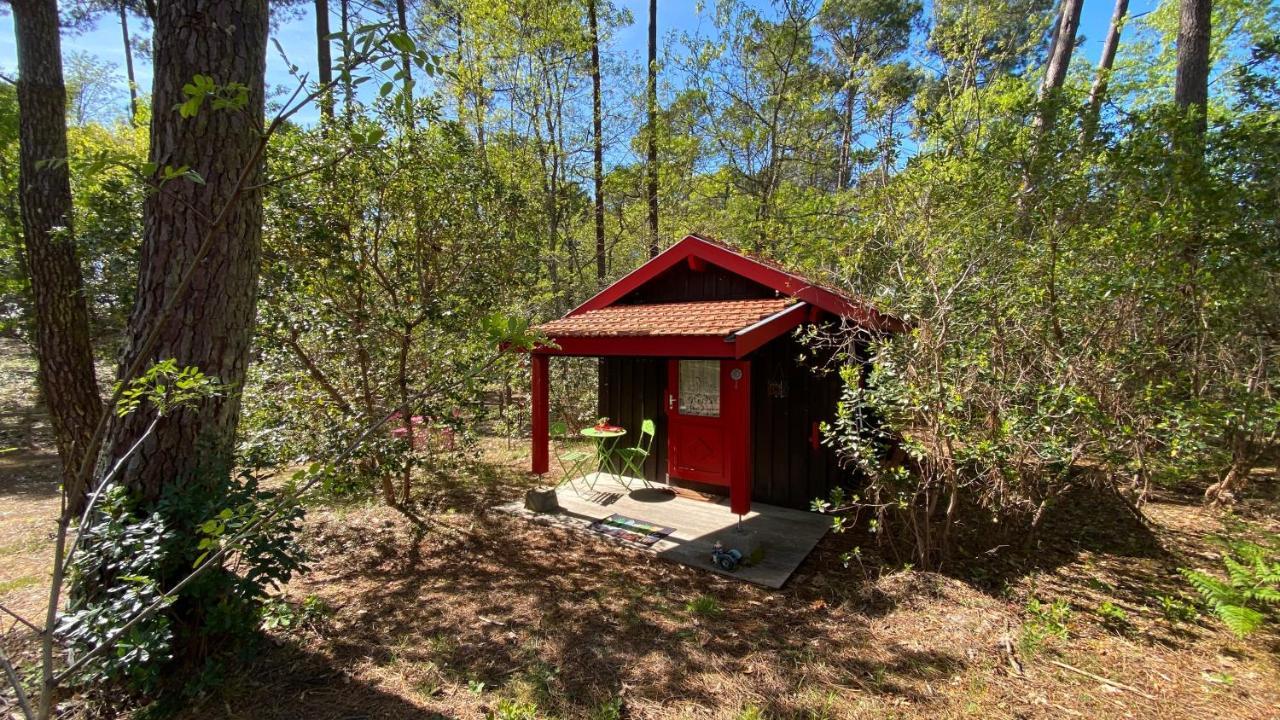Le Petit Poulailler Au Beau Milieu Des Pins Villa Lacanau Eksteriør bilde