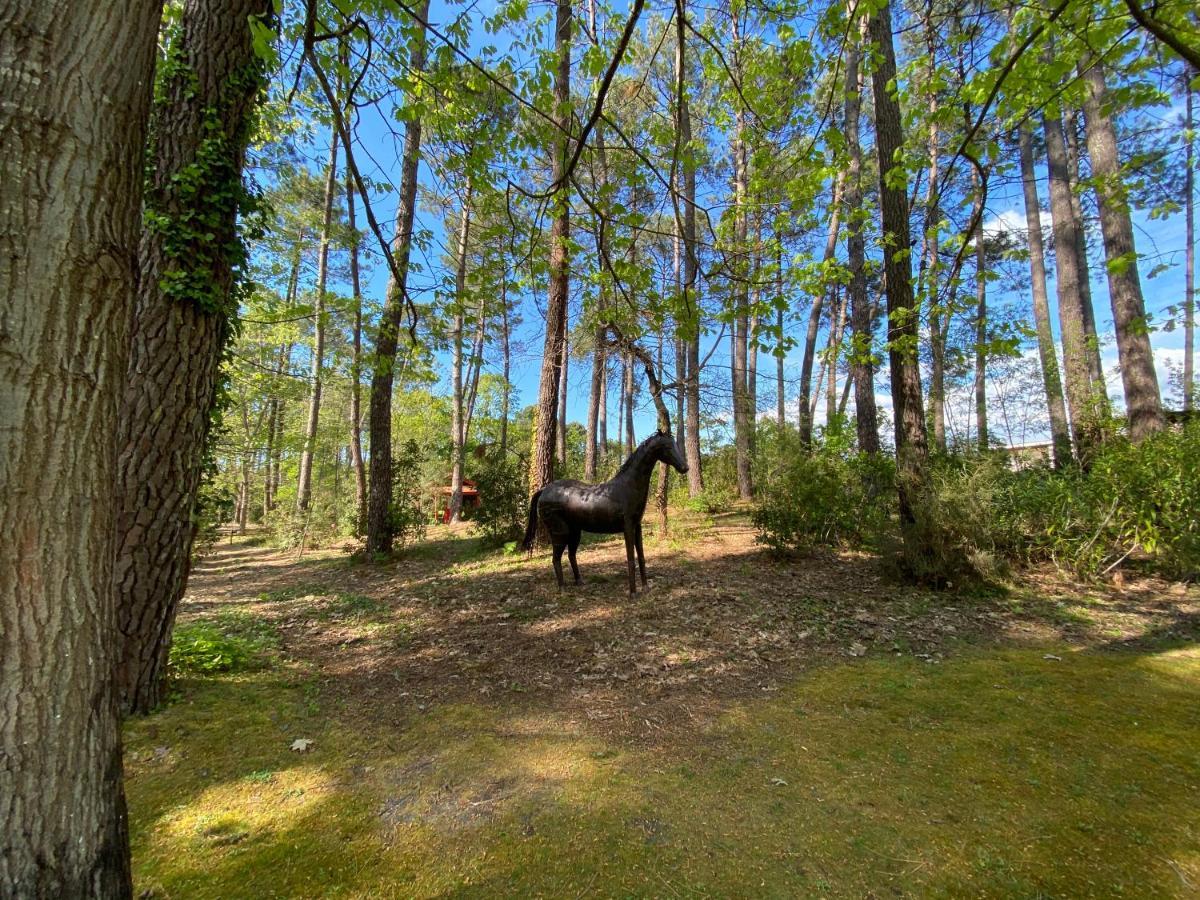 Le Petit Poulailler Au Beau Milieu Des Pins Villa Lacanau Eksteriør bilde