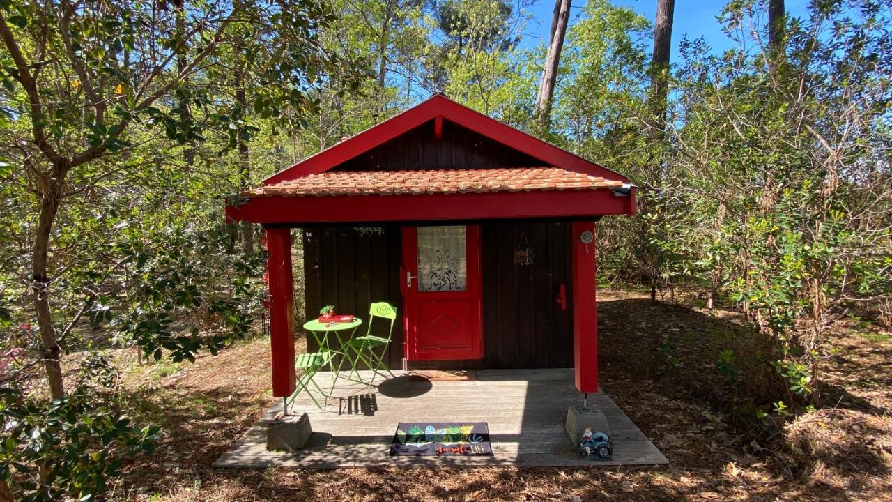 Le Petit Poulailler Au Beau Milieu Des Pins Villa Lacanau Eksteriør bilde