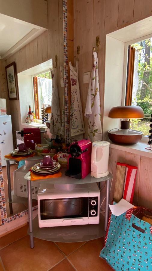 Le Petit Poulailler Au Beau Milieu Des Pins Villa Lacanau Eksteriør bilde