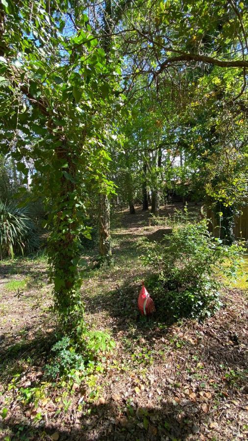 Le Petit Poulailler Au Beau Milieu Des Pins Villa Lacanau Eksteriør bilde