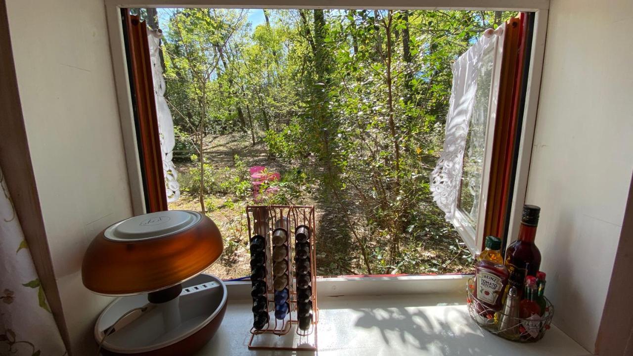 Le Petit Poulailler Au Beau Milieu Des Pins Villa Lacanau Eksteriør bilde