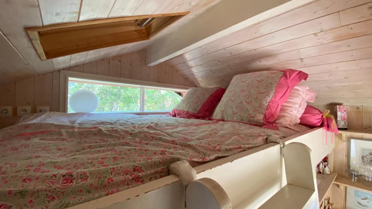 Le Petit Poulailler Au Beau Milieu Des Pins Villa Lacanau Eksteriør bilde