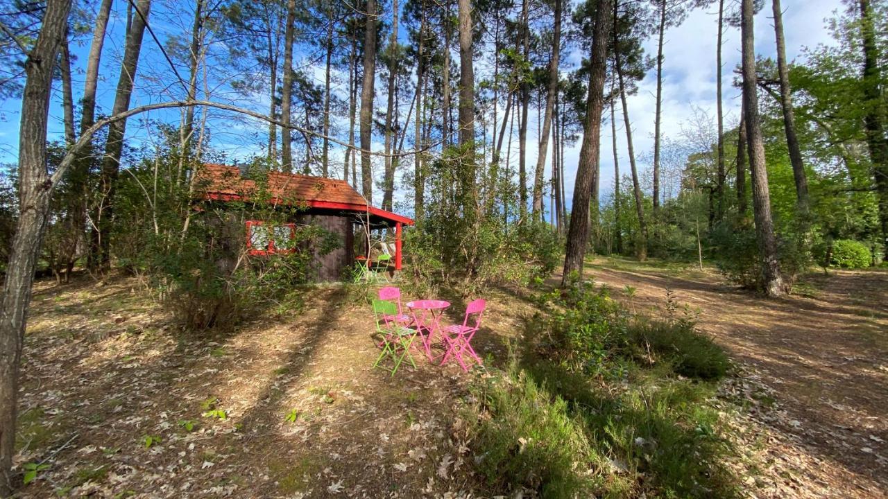 Le Petit Poulailler Au Beau Milieu Des Pins Villa Lacanau Eksteriør bilde