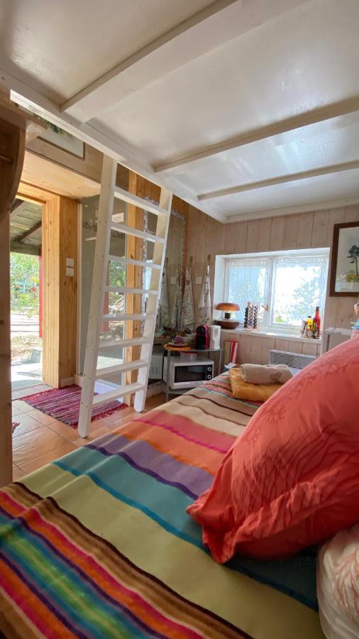 Le Petit Poulailler Au Beau Milieu Des Pins Villa Lacanau Eksteriør bilde