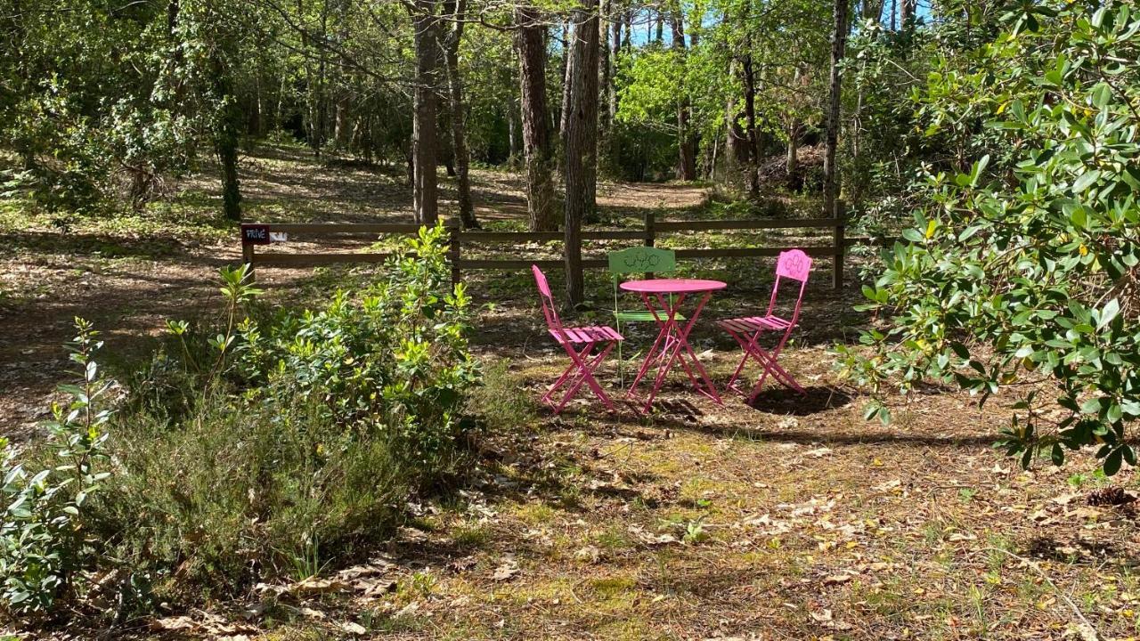 Le Petit Poulailler Au Beau Milieu Des Pins Villa Lacanau Eksteriør bilde